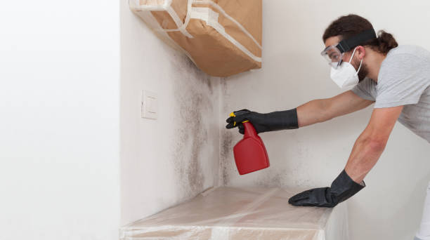 Professional Black Mold Removal technician working in Riverside, NY